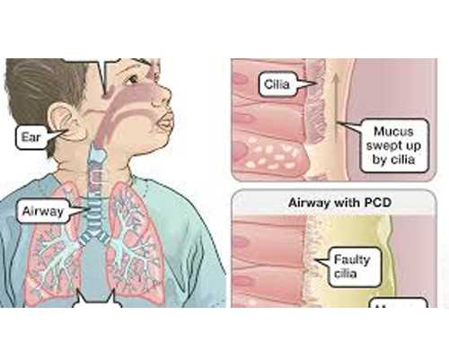 北京想去找助孕助孕的医院 北京协和试管婴儿全过程 ‘3d彩超看男女’