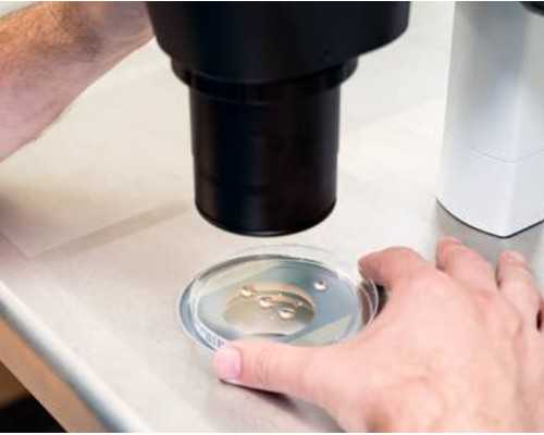 广州试管供卵助孕机构排名及广东助孕指南