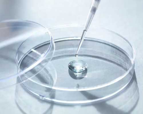 排名前十名北京试管助孕公司,北京助孕中介怎么样_代怀网费用问题