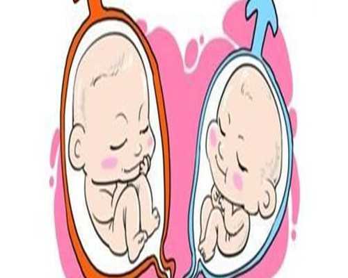 北京3家私立助孕机构,排名前十名北京试管助孕公司_代怀靠谱医院