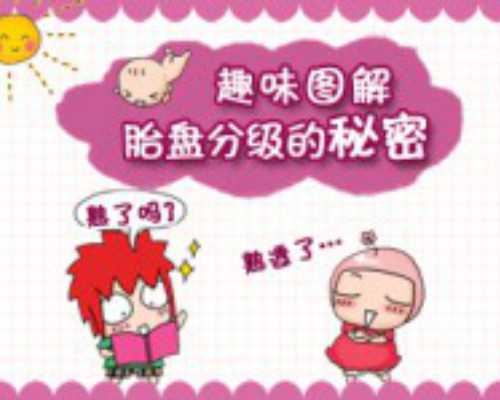 生育辅助的奥秘：卵泡破裂与试管婴儿的医学解析