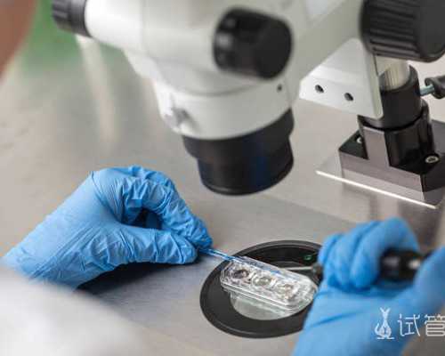 长春吉大二院试管助孕过程详解与专家推荐