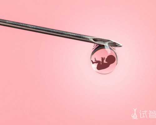 北京试管助孕机构排名榜名单公布最新,2026北京试管助孕条件_水底龙