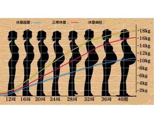 长春权威试管助孕机构解析，优选辅助生殖技术