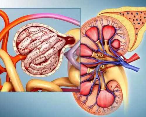优质助孕机构甄选指南，广东辅助生殖优选名录
