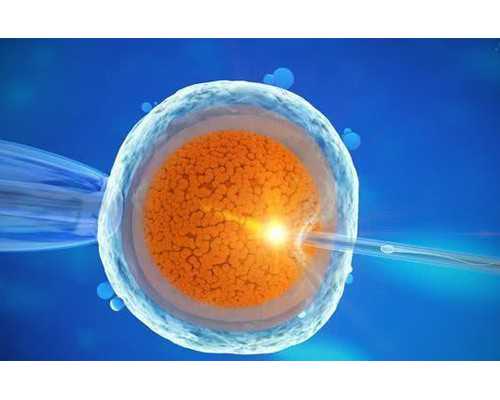 深圳试管助孕机构哪家靠谱,深圳康代禧助孕机构在哪里-哪能买卵子