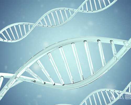 长春代孕是否犯法|长春供卵试管生一对龙凤胎价格明细？全程花多少钱心里有