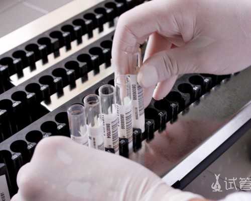 长春三代供卵试管婴儿费用与男孩生育指南