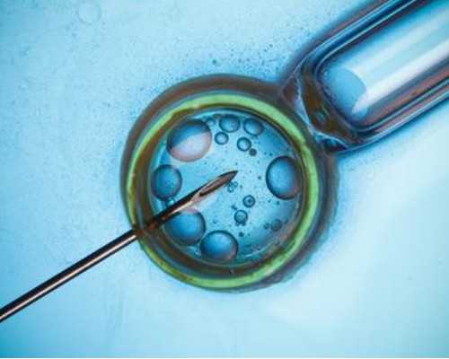 上海助孕中介哪里好坤和优惠吗,想要试管助孕，先看这里！上海三代试管助孕