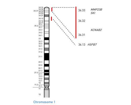长春试管助孕机构精选：权威排名与成功经验分享