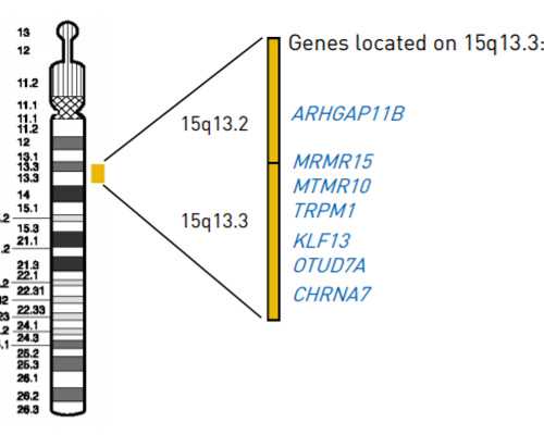 广东优质助孕机构点名，广州可供卵试管婴儿的医院导航