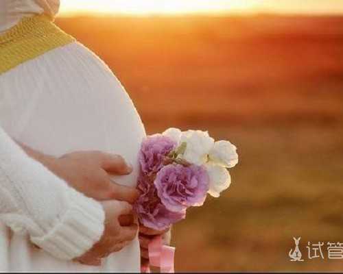 广州试管供卵生子助孕机构排名，附广东助孕机构一览！-代孕医院名单