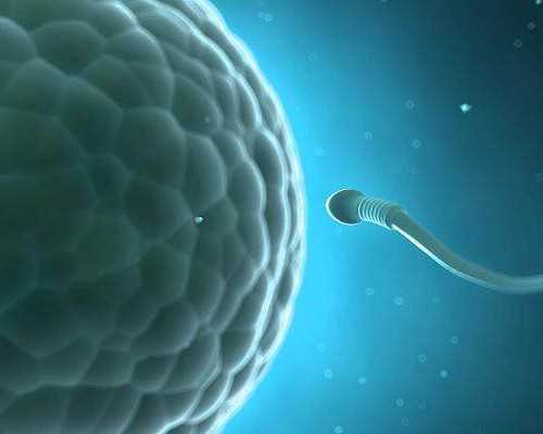 长春三代试管婴儿费用详解|2026长春市妇产医院供卵三代助孕报价