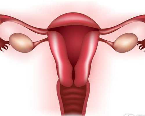 北京最大的助孕公司优贝贝在哪里,2026北京试管助孕条件_国内代孕网