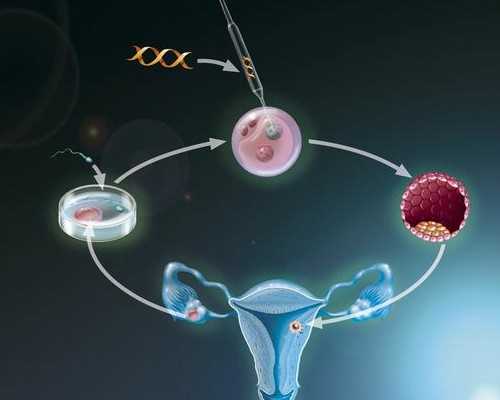 2026
武汉市试管代怀生子机构排名，附试管助孕机构名单！-供卵助孕公司