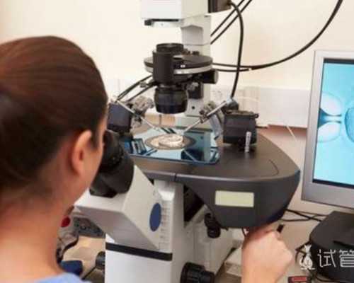 广州借卵助孕流程揭秘：助孕机构实力榜单解析