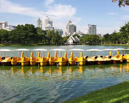 上海试管婴儿：解析辅助生殖技术的成功秘诀