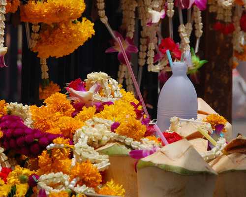 长春试管婴儿助孕机构推荐与流程解析-助孕代生